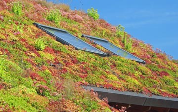 Bowbrook living roof systems